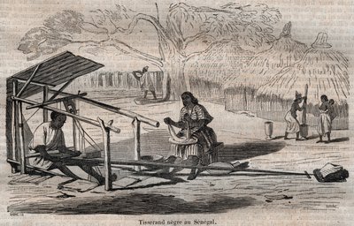 Tejedor negro senegalés de French School